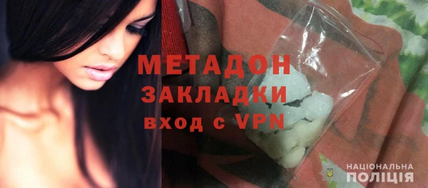 стаф Богданович