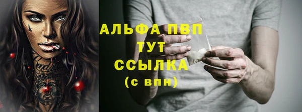 стаф Богданович