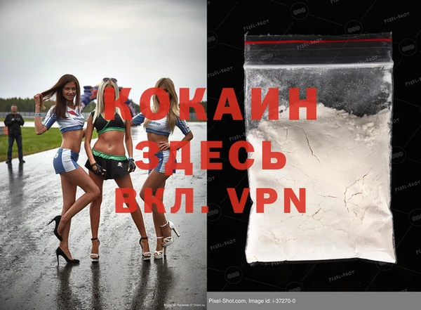 шишки Саяногорск