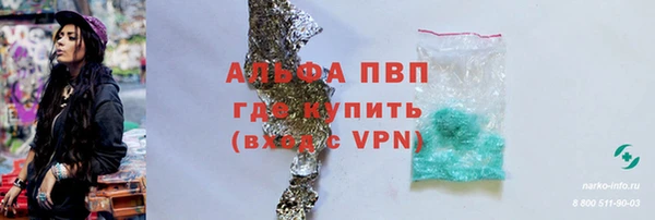 стаф Богородск