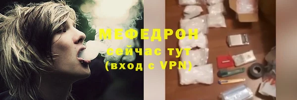 стаф Богданович