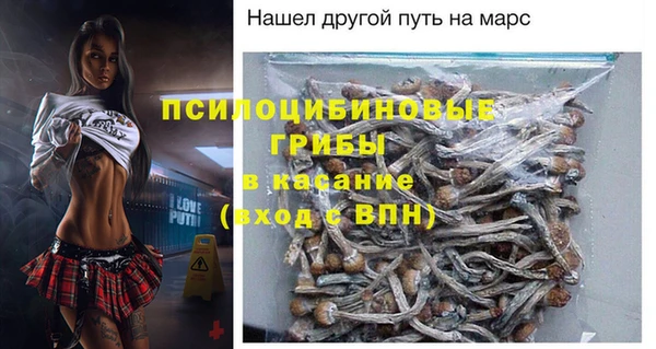 спайс Богородицк