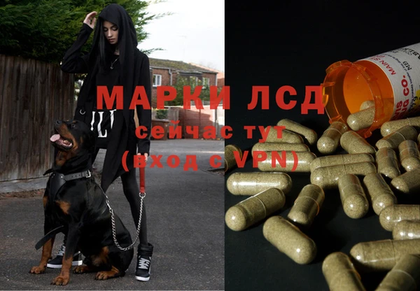 бутик Осинники