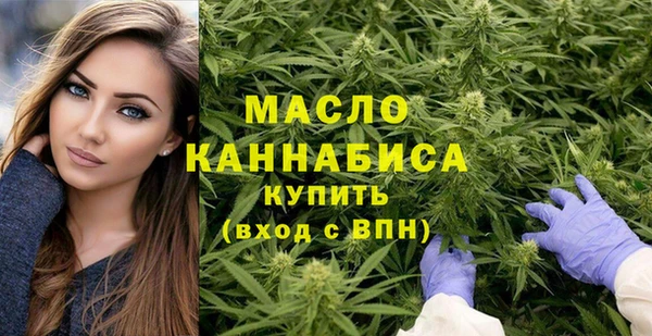 стаф Богородск