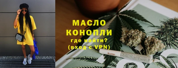 стаф Богородск